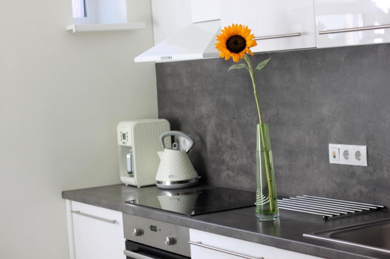 Modern Cozy 1br In Quiet Center Of Apartament Ryga